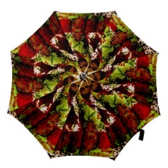 Collosium   Swards And Helmets 4 Hook Handle Umbrellas (medium) by bestdesignintheworld