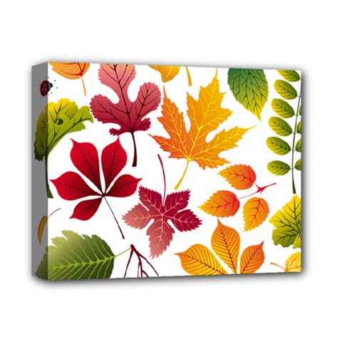Beautiful Autumn Leaves Vector Deluxe Canvas 14  X 11  by Nexatart