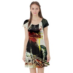 Egg In The Duck   Needle In The Egg Short Sleeve Skater Dress by bestdesignintheworld