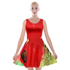 Humidity 9 Velvet Skater Dress by bestdesignintheworld