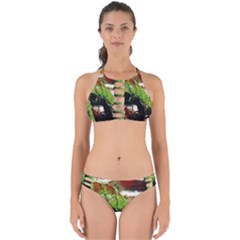 Collosium   Swards And Helmets 3 Perfectly Cut Out Bikini Set by bestdesignintheworld