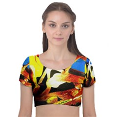 Drama Velvet Short Sleeve Crop Top  by bestdesignintheworld