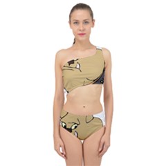 Bulldog Dog Head Canine Pet Spliced Up Two Piece Swimsuit by Nexatart
