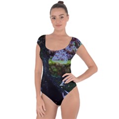 Hot Day In Dallas 32 Short Sleeve Leotard  by bestdesignintheworld