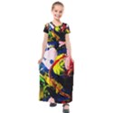 Global Warming 2 Kids  Short Sleeve Maxi Dress View1