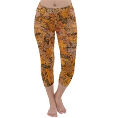 Leaves Motif Pattern Photo 2 Capri Winter Leggings  by dflcprints