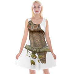 Bird Owl Animal Vintage Isolated Reversible Velvet Sleeveless Dress by Sapixe