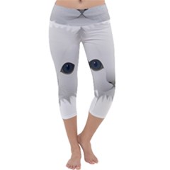 Cat Animal Pet Kitty Cats Kitten Capri Yoga Leggings by Sapixe