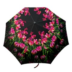 Pink Tulips Dark Background Folding Umbrellas by FunnyCow