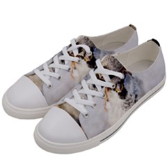 Do Not Mess With Sparrows Women s Low Top Canvas Sneakers by FunnyCow