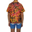 Orange, yellow cotoneaster leaves in autumn Kids  Short Sleeve Swimwear View2