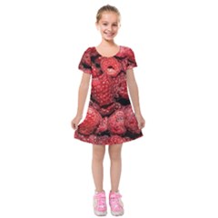 Red Raspberries Kids  Short Sleeve Velvet Dress by FunnyCow