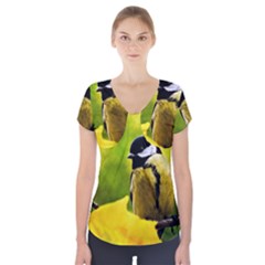 Tomtit Bird Dressed To The Season Short Sleeve Front Detail Top by FunnyCow