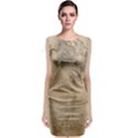 Anna Pavlova 2485075 960 720 Sleeveless Velvet Midi Dress View1
