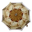 Vintage 1501595 1920 Hook Handle Umbrellas (Small) View1