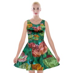 Lina Angelov s Poppies Velvet Skater Dress by SusanFranzblau