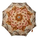 Girls 1827219 1920 Hook Handle Umbrellas (Medium) View1