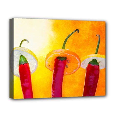 Three Red Chili Peppers Deluxe Canvas 20  X 16  (stretched) by FunnyCow