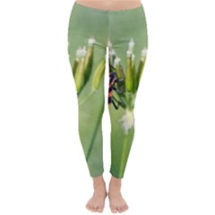 One More Bottle Does Not Hurt Classic Winter Leggings by FunnyCow