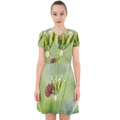 One More Bottle Does Not Hurt Adorable In Chiffon Dress by FunnyCow