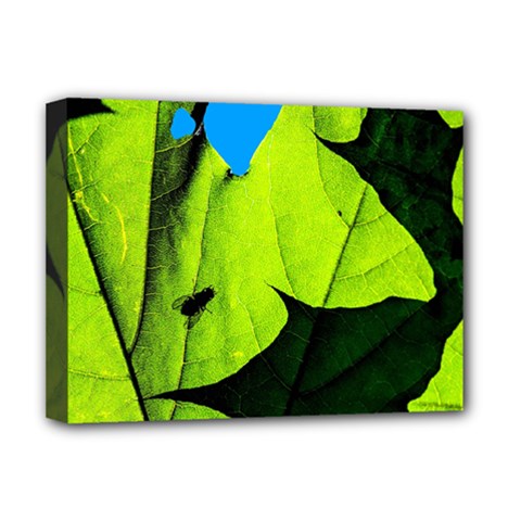 Window Of Opportunity Deluxe Canvas 16  X 12  (stretched)  by FunnyCow