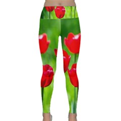 Red Tulip Flowers, Sunny Day Lightweight Velour Classic Yoga Leggings by FunnyCow