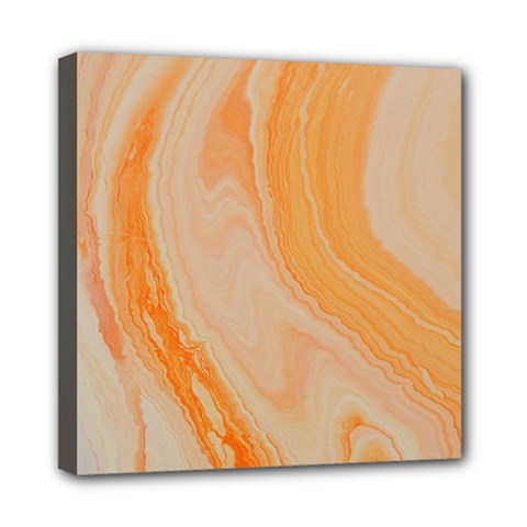 Orange Mini Canvas 8  X 8  (stretched) by WILLBIRDWELL