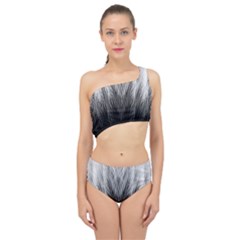 Feather Graphic Design Background Spliced Up Two Piece Swimsuit by Nexatart