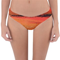 Sunset Reversible Hipster Bikini Bottoms by WILLBIRDWELL