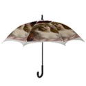 Vintage 1501594 1920 Hook Handle Umbrellas (Medium) View3