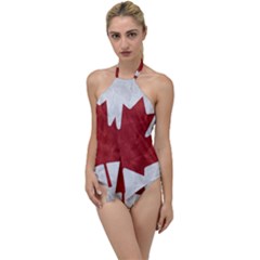 Canada Grunge Flag Go With The Flow One Piece Swimsuit by Valentinaart