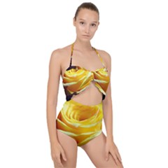 Soft Yellow Rose Scallop Top Cut Out Swimsuit by bloomingvinedesign