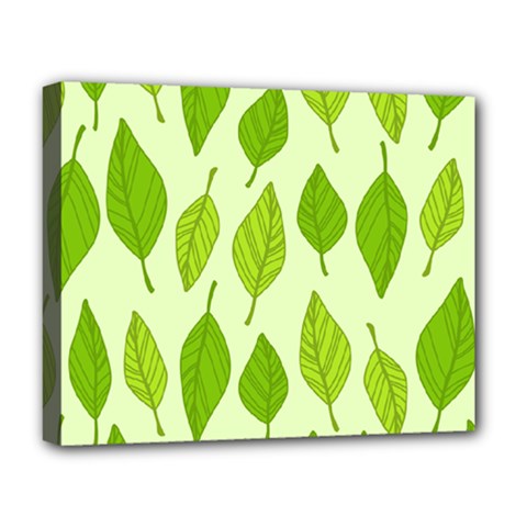 Autumn Pattern Deluxe Canvas 20  X 16  (stretched) by Hansue
