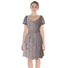 Wordsworth Grey Mix Short Sleeve Bardot Dress by DeneWestUK