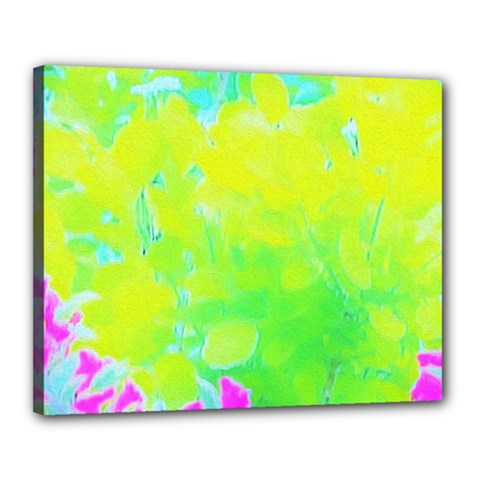 Fluorescent Yellow And Pink Abstract Garden Foliage Canvas 20  X 16  (stretched) by myrubiogarden