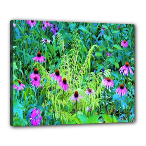 Purple Coneflower Garden With Tiger Eye Tree Canvas 20  X 16  (stretched) by myrubiogarden