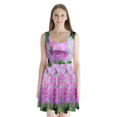 Hot Pink And White Peppermint Twist Garden Phlox Split Back Mini Dress  by myrubiogarden