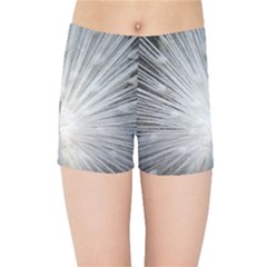 Peacock White Bird Nature Kids Sports Shorts by Wegoenart