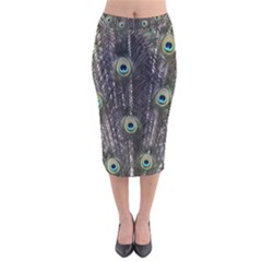 Background Peacock Feathers Velvet Midi Pencil Skirt by Wegoenart