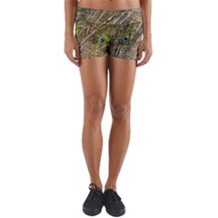 Peacock Feathers Color Plumag Yoga Shorts by Wegoenart