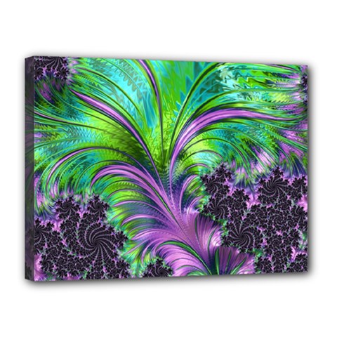 Fractal Art Artwork Feather Swirl Canvas 16  X 12  (stretched) by Pakrebo