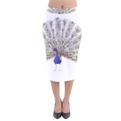 Peacock Colorful Bird Feather Blue Velvet Midi Pencil Skirt by Wegoenart