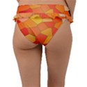 Background Pattern Of Orange Mosaic Frill Bikini Bottom View2