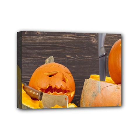 Old Crumpled Pumpkin Mini Canvas 7  X 5  (stretched) by rsooll