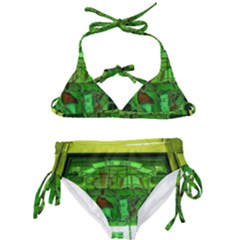 Dublin Scioto Irish Window Kids  Classic Bikini Set by Riverwoman