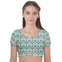Easter Damask Pattern Robins Egg Blue and Brown Velvet Short Sleeve Crop Top  View1