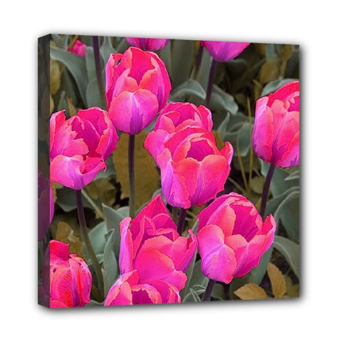Pink Tulips Mini Canvas 8  X 8  (stretched) by snowwhitegirl