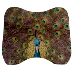 Peacock Feather Peacock Feather Velour Head Support Cushion by Pakrebo