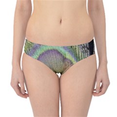 Peacock Feather Close Up Macro Hipster Bikini Bottoms by Pakrebo