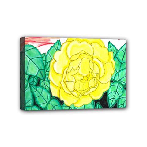 Sunset Rose Watercolor Mini Canvas 6  X 4  (stretched) by okhismakingart